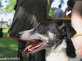 WuW_2012_274
