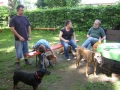 WuW_2012_275
