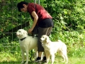 WuW_2012_282