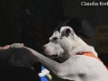 WuW_2012_287
