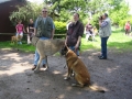 WuW_2012_288