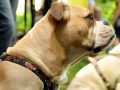 WuW_2012_289