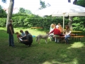 WuW_2012_293