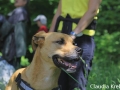 WuW_2012_299