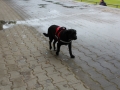 WuW_2013_068