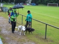 WuW_2013_075