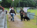 WuW_2013_091