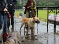 WuW_2013_114