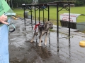 WuW_2013_115