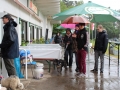 WuW_2013_118