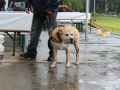 WuW_2013_121