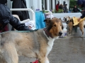 WuW_2013_122
