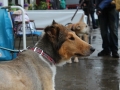 WuW_2013_123