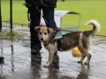 WuW_2013_127