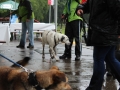 WuW_2013_128
