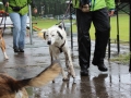 WuW_2013_131