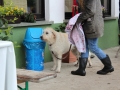 WuW_2013_142