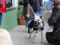 WuW_2013_143