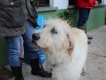 WuW_2013_144