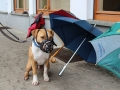 WuW_2013_152