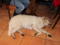 WuW_2013_180