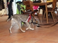 WuW_2013_196