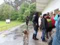 WuW_2013_206