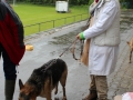 WuW_2013_211