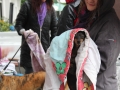 WuW_2013_216