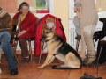 WuW_2013_233