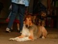 wuw-2014-0062