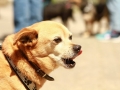 wuw-2014-0063