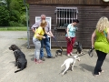 wuw-2014-0087