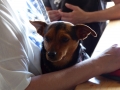 wuw-2014-0106