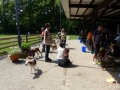 wuw-2014-0225