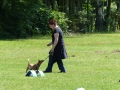 wuw-2014-0244