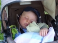 wuw-2014-0252