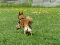 wuw-2014-0296