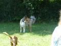 wuw-2014-0298