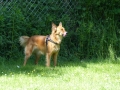 wuw-2014-0299