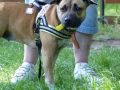 wuw-2014-0321