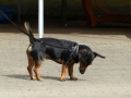 wuw-2014-0343