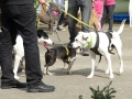 wuw-2014-0346