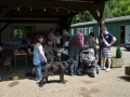 wuw-2014-0361