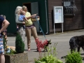 wuw-2014-0364