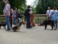 wuw-2014-0369