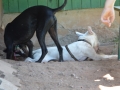 wuw-2014-0402
