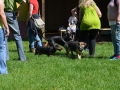 wuw-2014-0408
