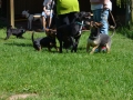 wuw-2014-0409