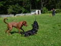 wuw-2014-0427